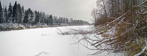 Ryb_09.12.2018-1.jpg