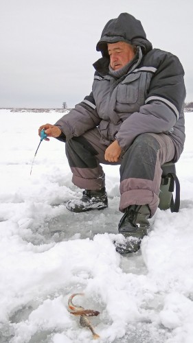 Ryb_12.12.2018-2.jpg