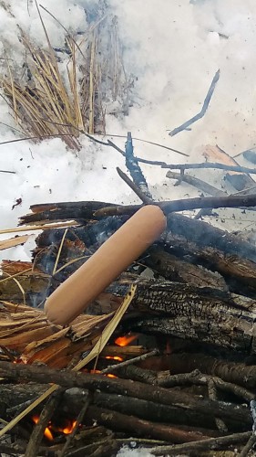 Ryb_12.12.2018-3.jpg