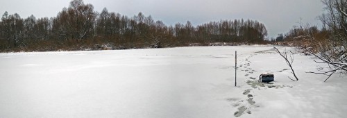Ryb_13.12.2018-1.jpg