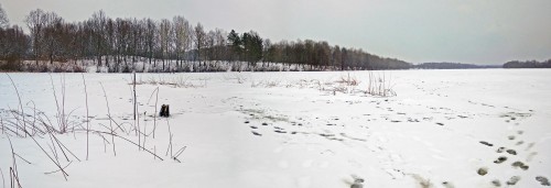 Ryb_13.12.2018-2.jpg