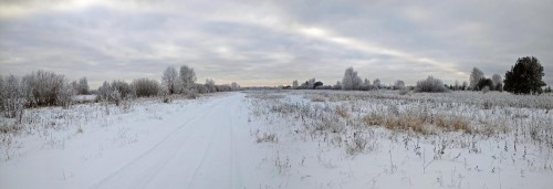 Ryb_17.12.2018-2.jpg