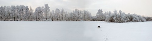 Ryb_17.12.2018-3.jpg