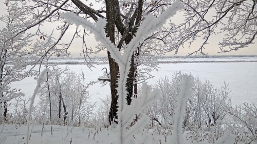 Ryb_17.12.2018-4.jpg