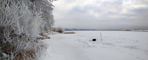 Ryb_17.12.2018-5.jpg