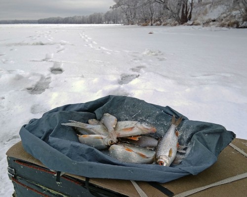 Ryb_17.12.2018-6.jpg