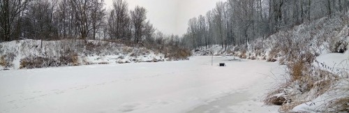 Ryb_18.12.2018-2.jpg