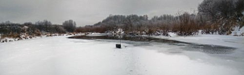 Ryb_18.12.2018-3.jpg