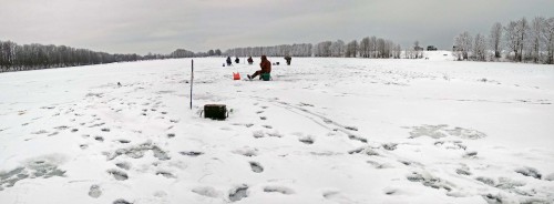 Ryb_18.12.2018-5.jpg