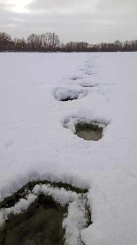 Ryb_20.12.2018-2.jpg