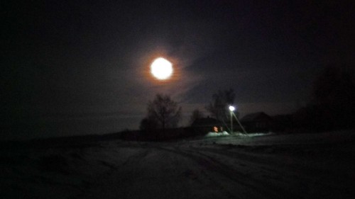 Ryb_23.12.2018-2.jpg