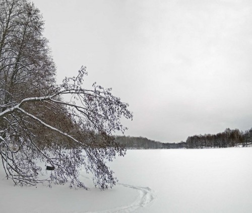 Ryb_25.12.2018-1.jpg