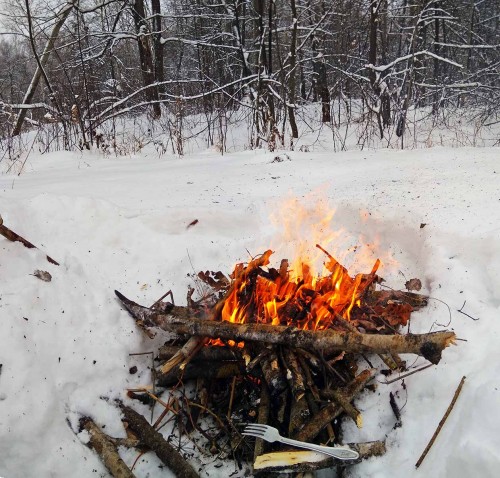 Ryb_25.12.2018-2.jpg