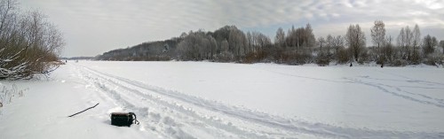 Ryb_27.12.2018-1.jpg