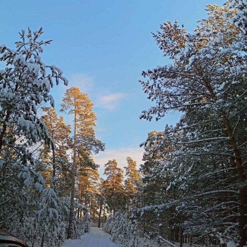 Ryb_29.12.2018-1.jpg