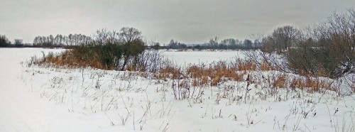 Ryb_03.01.2019-3.jpg
