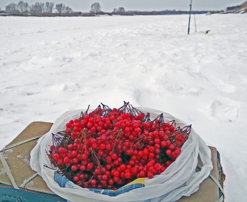 Ryb_03.01.2019-7.jpg