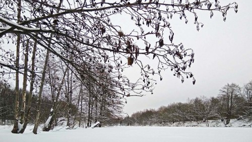 Ryb_05.01.2019-1.jpg
