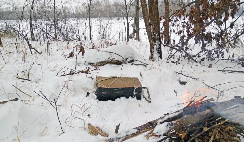 Ryb_05.01.2019-2.jpg
