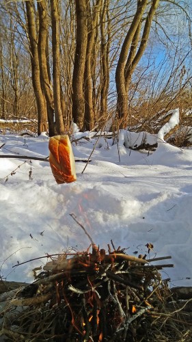 Ryb_09.01.2019-4.jpg