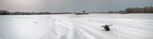 Ryb_11.01.2019-1.jpg