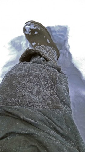 Ryb_11.01.2019-2.jpg