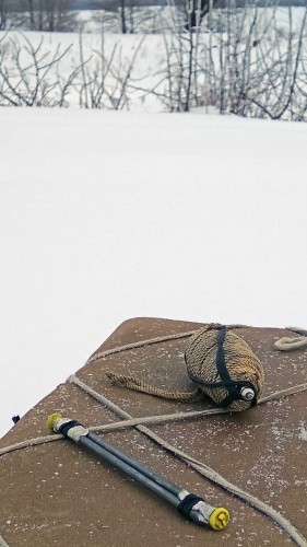 Ryb_11.01.2019-3.jpg