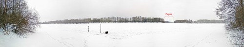 Ryb_14.01.2019-2.jpg