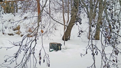Ryb_14.01.2019-3.jpg