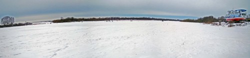 Ryb_16.01.2019-3.jpg