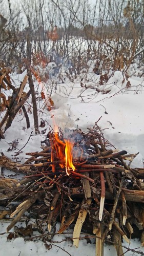 Ryb_16.01.2019-5.jpg