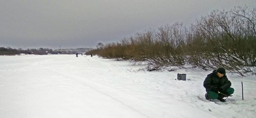 Ryb_17.01.2019-2.jpg
