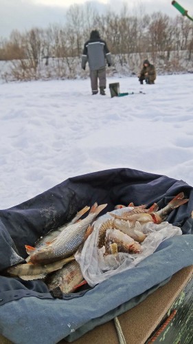 Ryb_17.01.2019-7.jpg