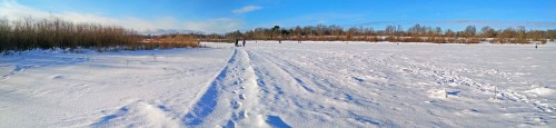Ryb_19.01.2019-3.jpg