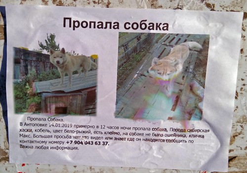 Ryb_19.01.2019-8.jpg