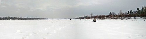 Ryb_21.01.2019-1.jpg