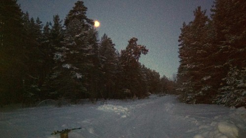 Ryb_25.01.2019-2.jpg