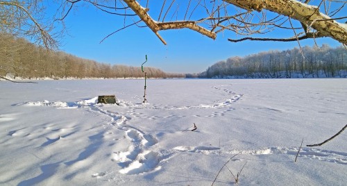 Ryb_25.01.2019-4.jpg