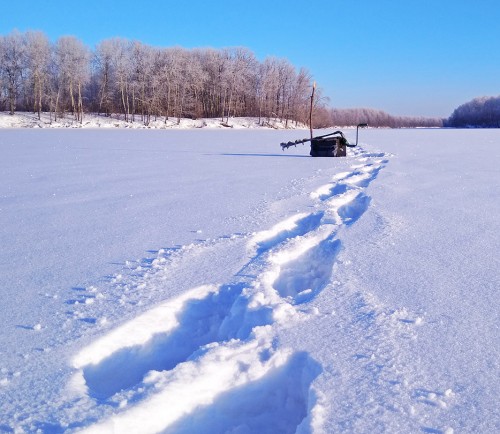 Ryb_25.01.2019-5.jpg
