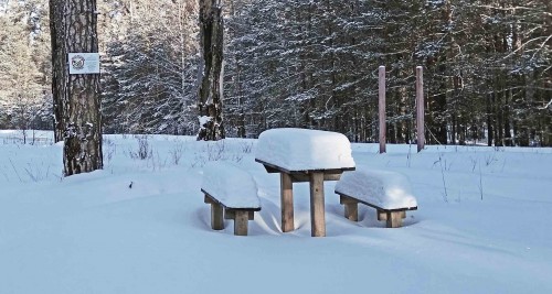 Ryb_25.01.2019-7.jpg