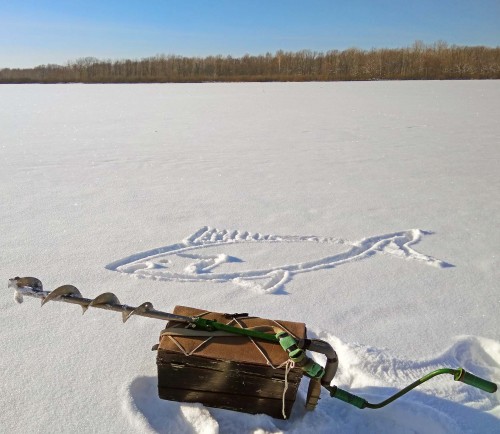 Ryb_25.01.2019-8.jpg