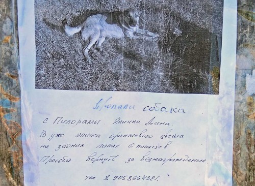 Ryb_25.01.2019-9.jpg
