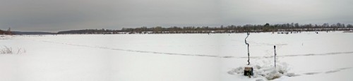 Ryb_29.01.2019-1.jpg
