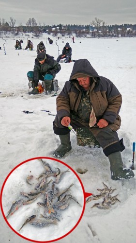 Ryb_29.01.2019-5.jpg