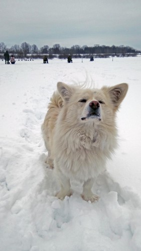 Ryb_29.01.2019-7.jpg