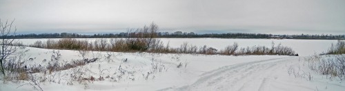 Ryb_31.01.2019-2.jpg