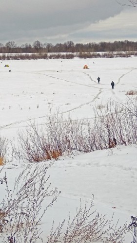 Ryb_05.02.2019-1.jpg