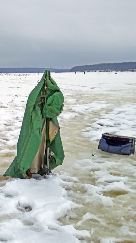 Ryb_05.02.2019-2.jpg