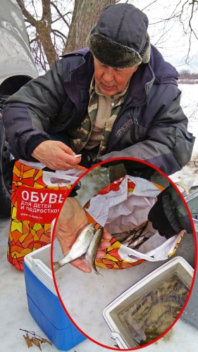 Ryb_05.02.2019-4.jpg