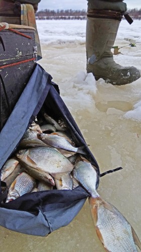 Ryb_05.02.2019-5.jpg